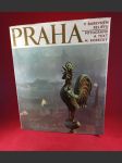 Praha v barevném reliéfu - náhled