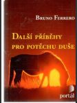 Další příběhy pro potěchu duše - náhled
