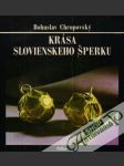 Krása slovienskeho šperku - náhled