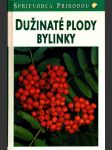 Dužinaté plody, bylinky - náhled