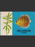 Akvárium v kocke - náhled