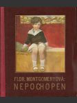 Nepochopen - náhled