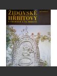 Židovské hřbitovy - náhled