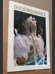 Dolní Bojanovice - náhled
