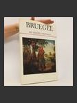 Bruegel mit fünfzig Farbtafeln - náhled