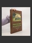 Procházka Pelhřimovem na pohlednicích 1897-1980 - Vnější město - náhled