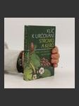Klíč k určování stromů a keřů - náhled