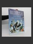 Bildatlas der Vögel - náhled