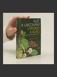 Klíč k určování stromů a keřů - náhled