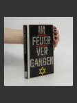 Im Feuer vergangen : Tagebücher aus dem Ghetto - náhled