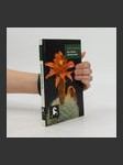 Das kleine Kakteenbuch - náhled