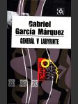 Generál v labyrinte - náhled