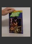 Shaman King 9 - náhled
