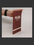 Pilíře - náhled