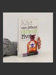 Když Vám příbuzní otravují život - náhled