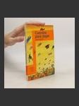 Cuentos para jugar - náhled