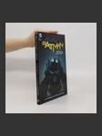 Batman. Kniha čtvrtá, Rok nula - Tajné město - náhled