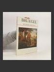 Bruegel mit fünfzig Farbtafeln - náhled