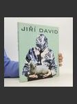 Jiří David - náhled