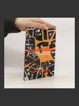 Thresholds: Essays on the International Prague Poetry Scene - náhled