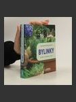 Bylinky : nejznámější bylinky od A do Z : kuchyně, kosmetika, zdraví - náhled