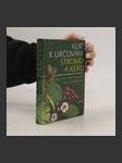 Klíč k určování stromů a keřů - náhled