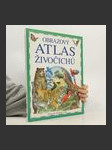 Obrazový atlas živočichů - náhled