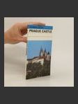 Prague Castle - náhled