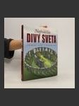 Najväčšie divy sveta : Jedinečné stavby a prírodné divy - náhled