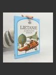 Lietanie a lietajúce stroje - náhled