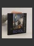 Koloman Sokol v kraji saguaros - náhled