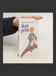 Malý princ - náhled