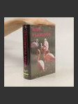 Rosa Flamingo - náhled