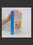 Riding the Waves of Culture. Understanding Cultural Diversity in Business - náhled
