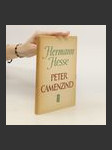 Peter Camenzind - náhled