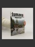 Šumava: Böhmerwald - náhled