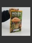 Houby : [objevte a určete nejdůležitější druhy] - náhled