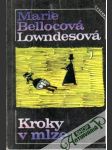 Kroky v mlze - náhled