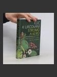 Klíč k určování stromů a keřů - náhled