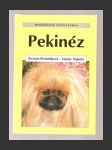 Pekinéz - náhled