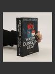 Was im Dunkeln liegt - náhled