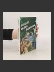 Biggles hledá šampiona - náhled