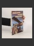 Bigglesova letecká společnost - náhled