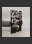 Intenzivní péče - náhled