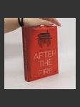 After the Fire - náhled