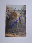 Moravský kras - v létě (101) - náhled