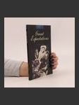 Great expectations - náhled