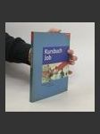 Kursbuch Job - náhled