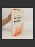 Oceňování podniku - náhled