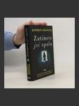 Zatímco jsi spala - náhled